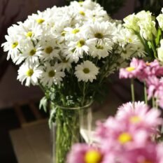 pexels-ceyda-hilal-219872070-20378951