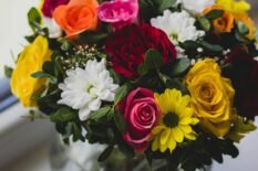 pexels-valeriya-14401